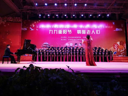 玉溪市文化館群苑合唱團閃耀2020年‘我們的節日·重陽’文藝晚會暨文化藝術交流活動