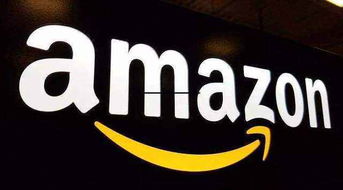 月入十萬(wàn)的亞馬遜無(wú)貨源店群不限制商品類目上貨erp定制貼牌,模式一比一復(fù)制